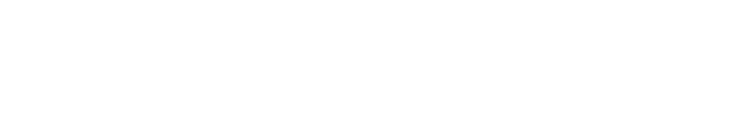 Stonybrook University